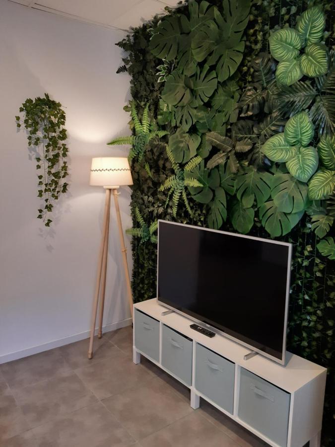 Tropical Garden Apartment อาลิกันเต ภายนอก รูปภาพ